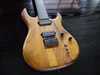 carvin custom.jpg